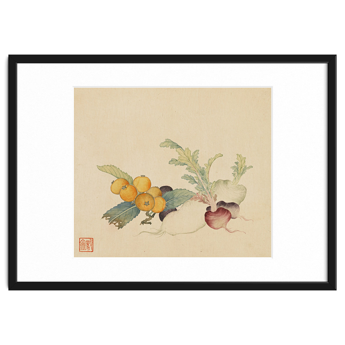 Wang Chengpi~flowers And Vegetables, Vegetables, Fruits, Loquat, White Radish, Carrot, Radish