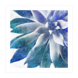 Rough Beauty 3 (Print Only) thumbnail