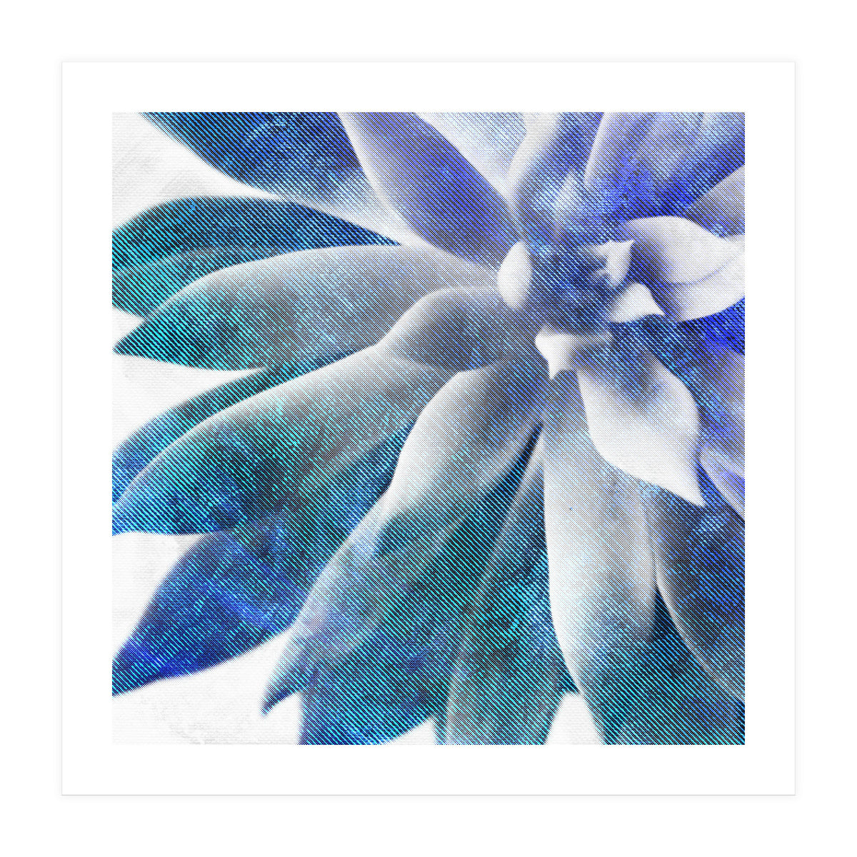 Rough Beauty 3 (Print Only)