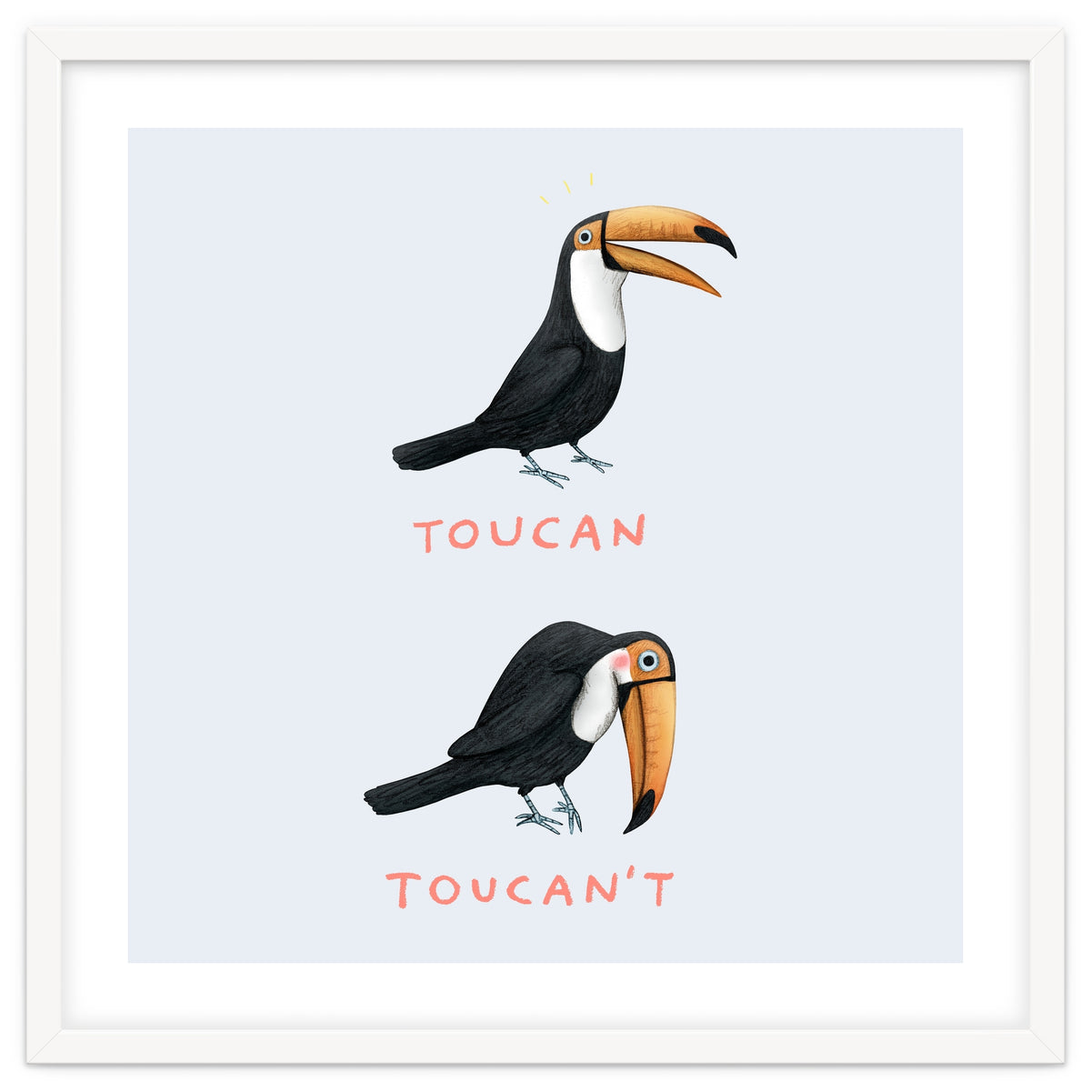 Toucan Toucan't