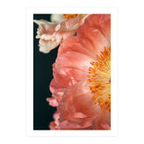 Coral Charm #2  (Print Only) thumbnail