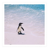 Beach (Print Only) thumbnail