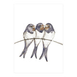 Three young swallows (Print Only) thumbnail
