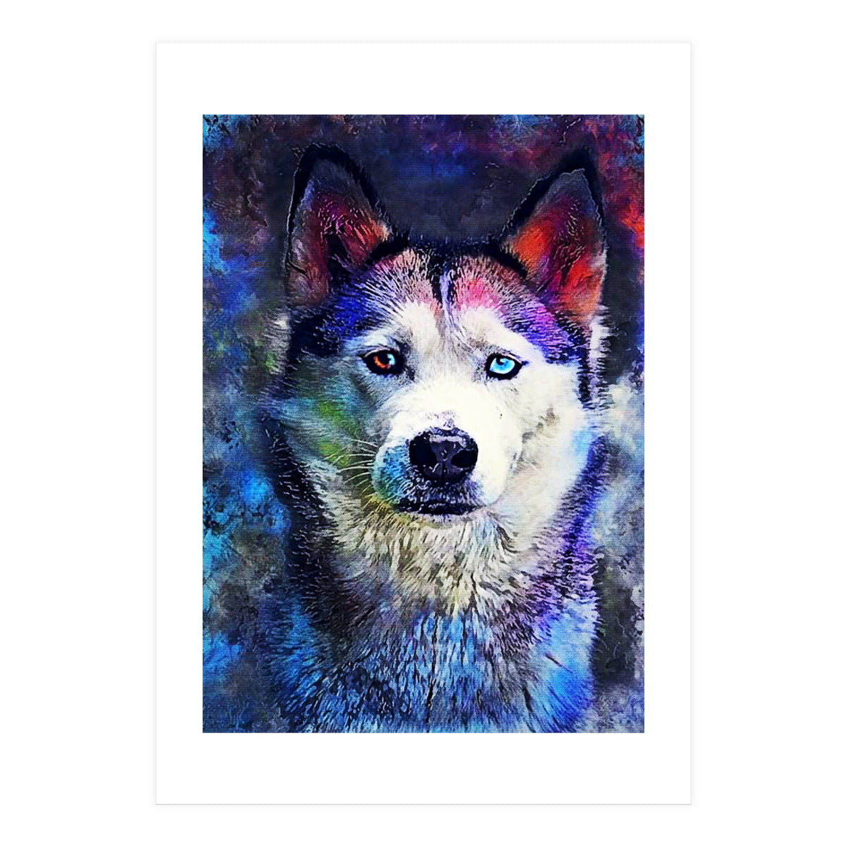 Dog Husky (Print Only)