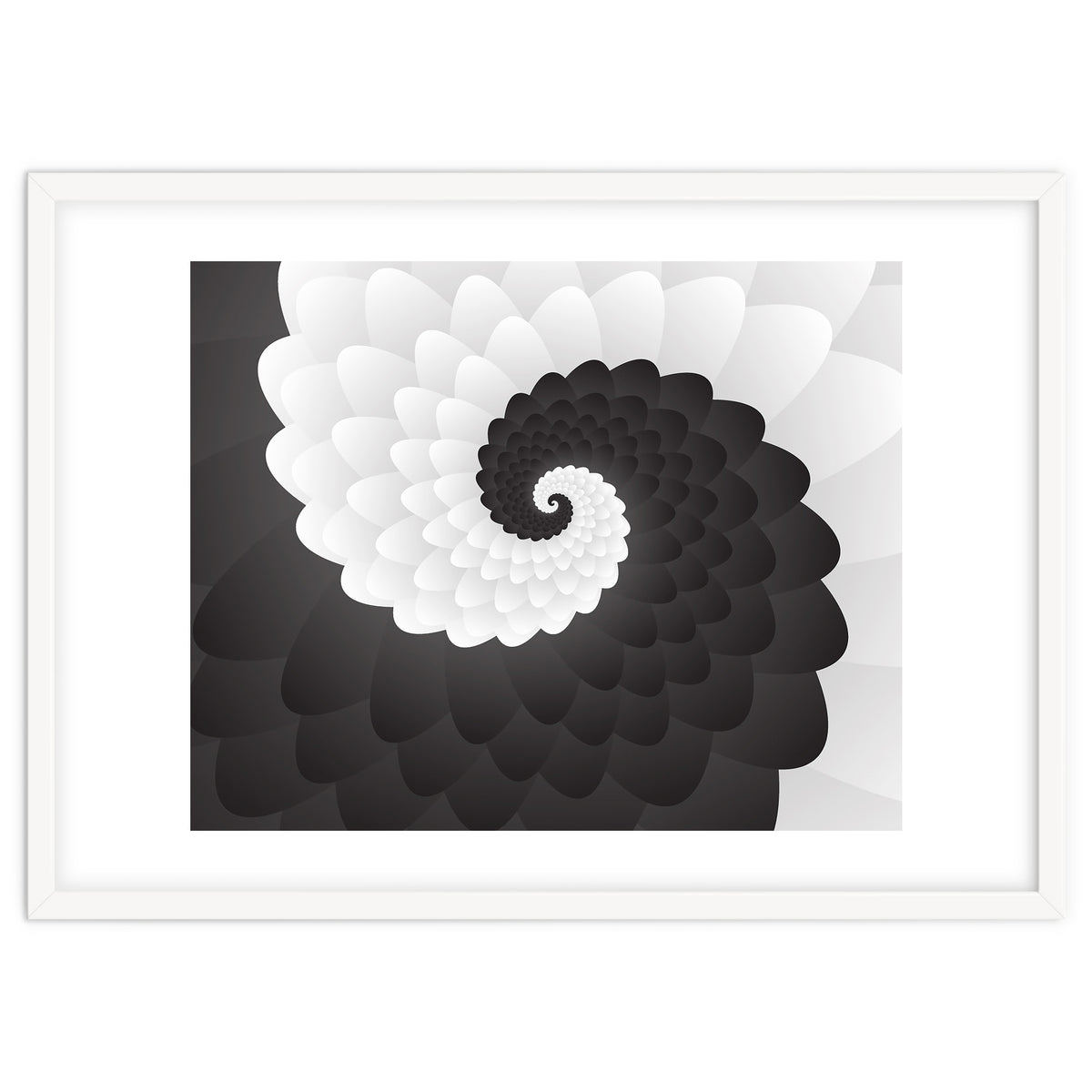 Mono Chrome Spiral Pattern