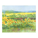 Sunflowers field  (Print Only) thumbnail