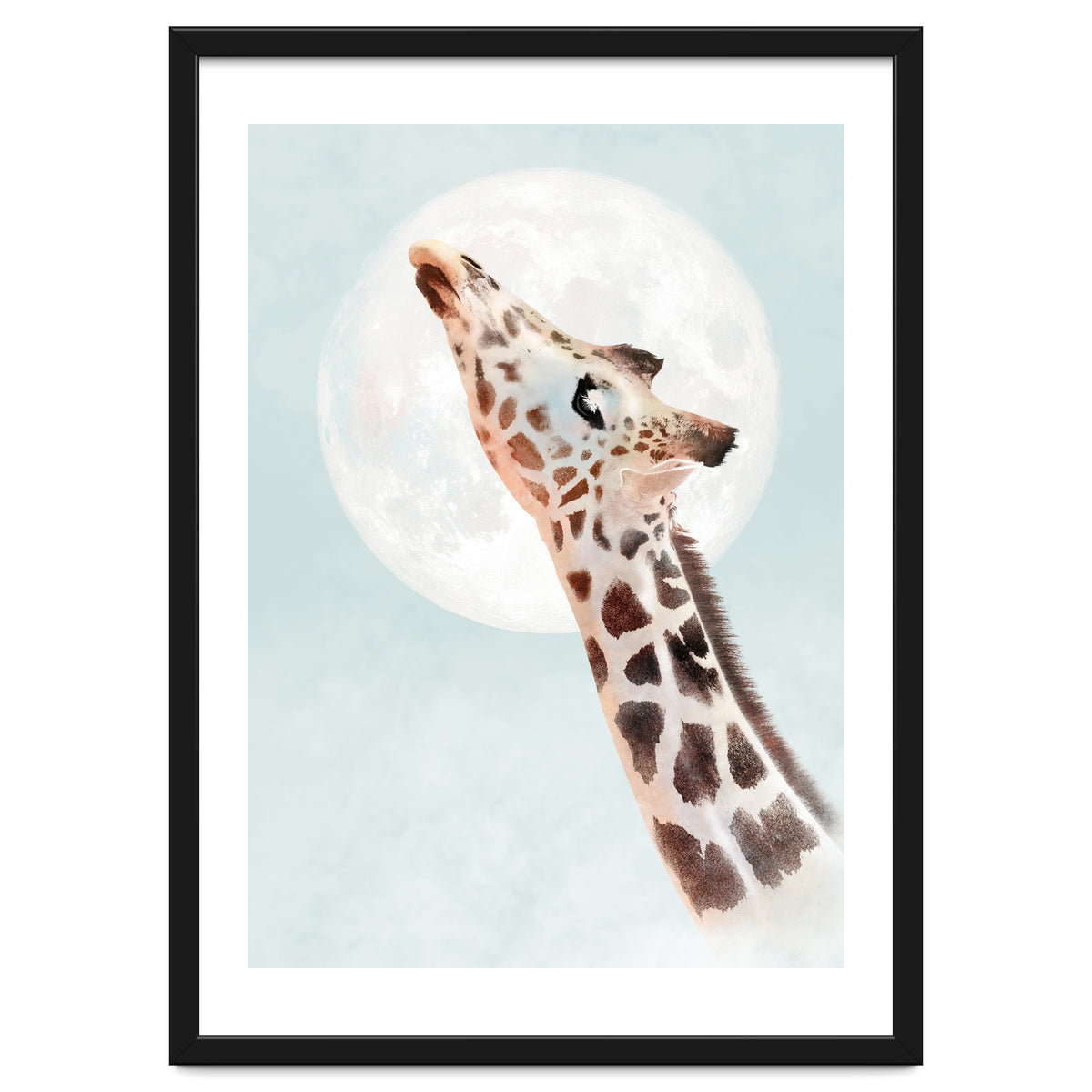 Giraffe And Moon