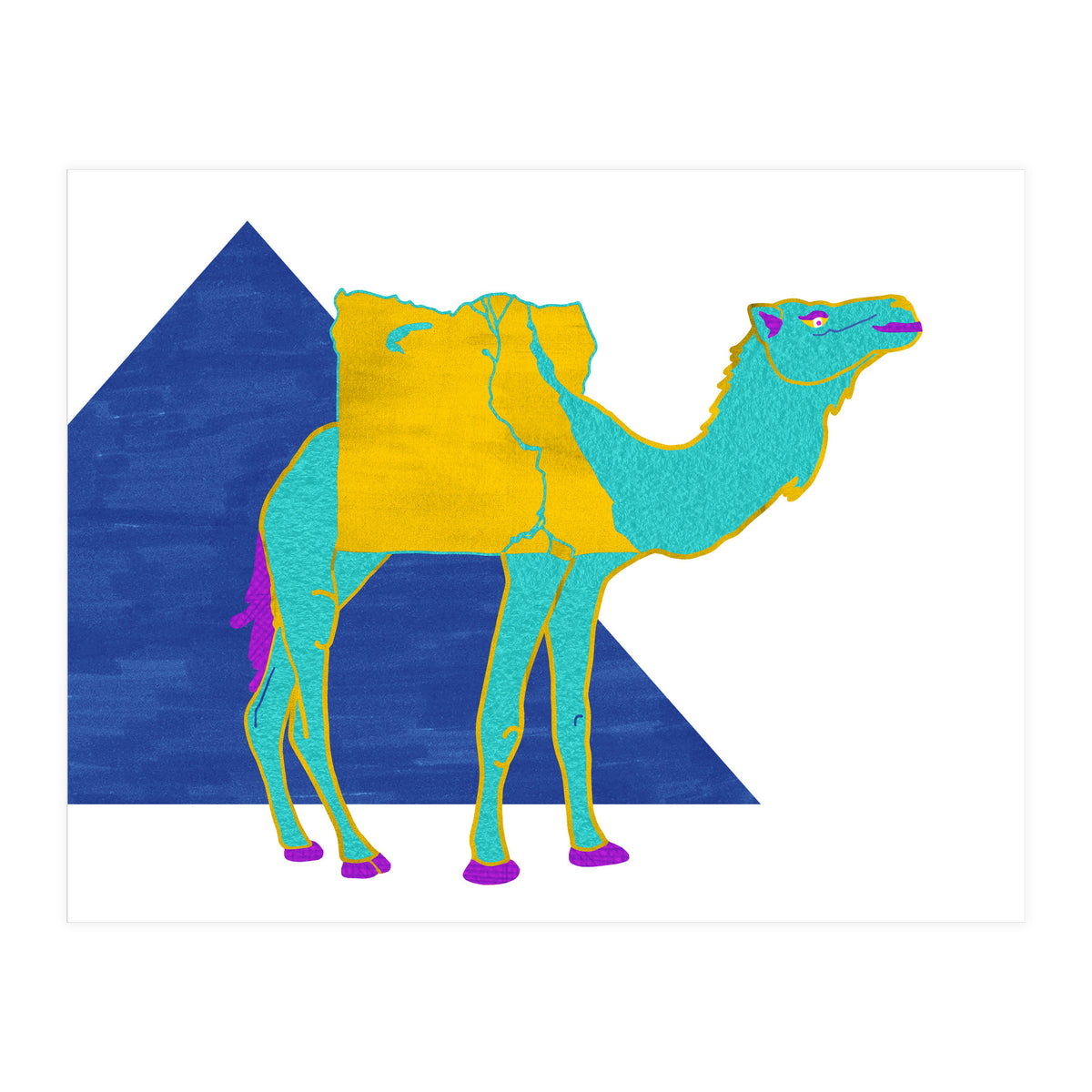 Egyptian Dromedary (Print Only)