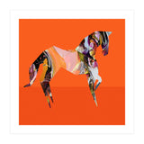 Crazy Ab Horse (Print Only) thumbnail