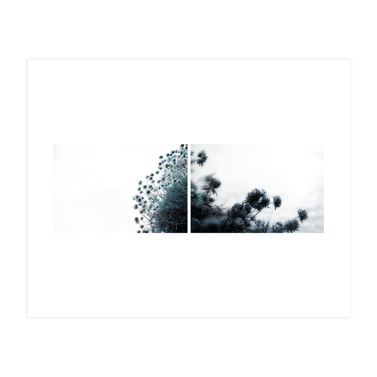 Andante (Print Only)