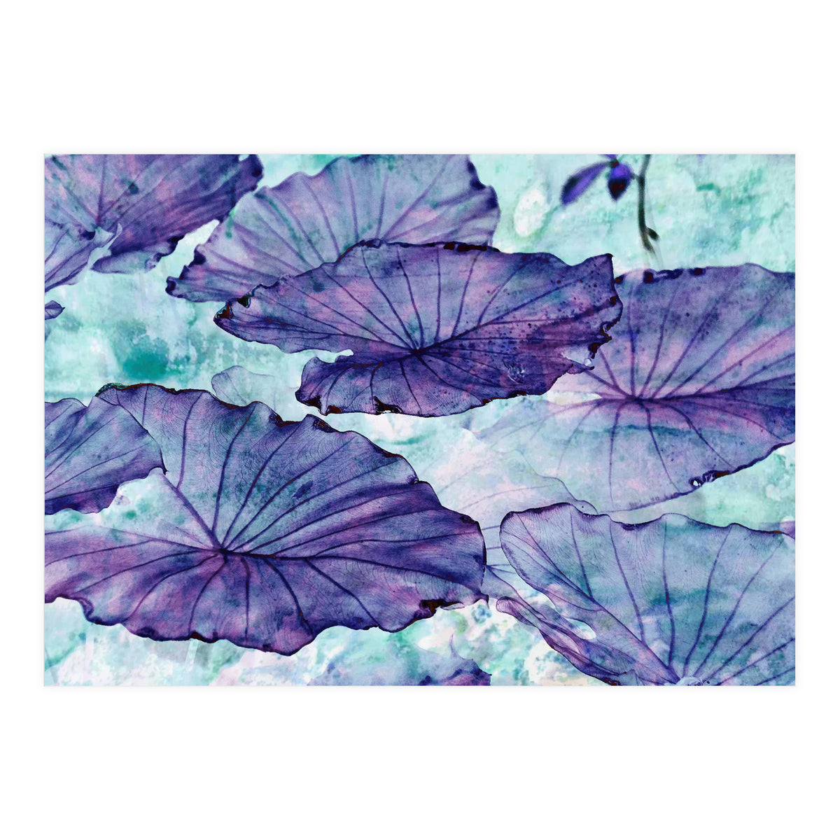 Botanical Surrealism (Print Only)