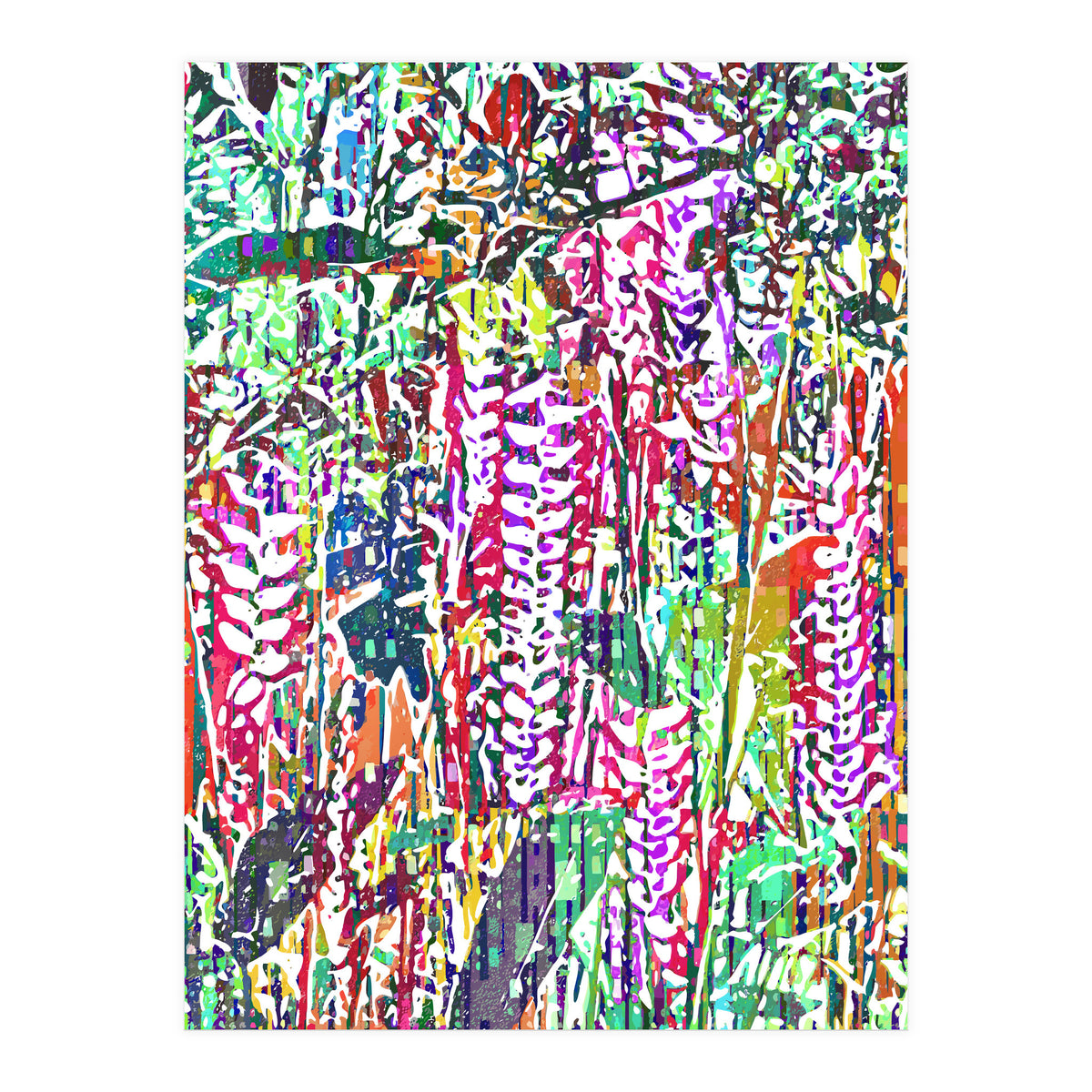 Jungle Mysteries, Colorful Bohemian Rustic Forest, Eclectic Nature Botanical Heliconia Tropical (Print Only)