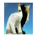 KatzenJammer 13 (Print Only) thumbnail