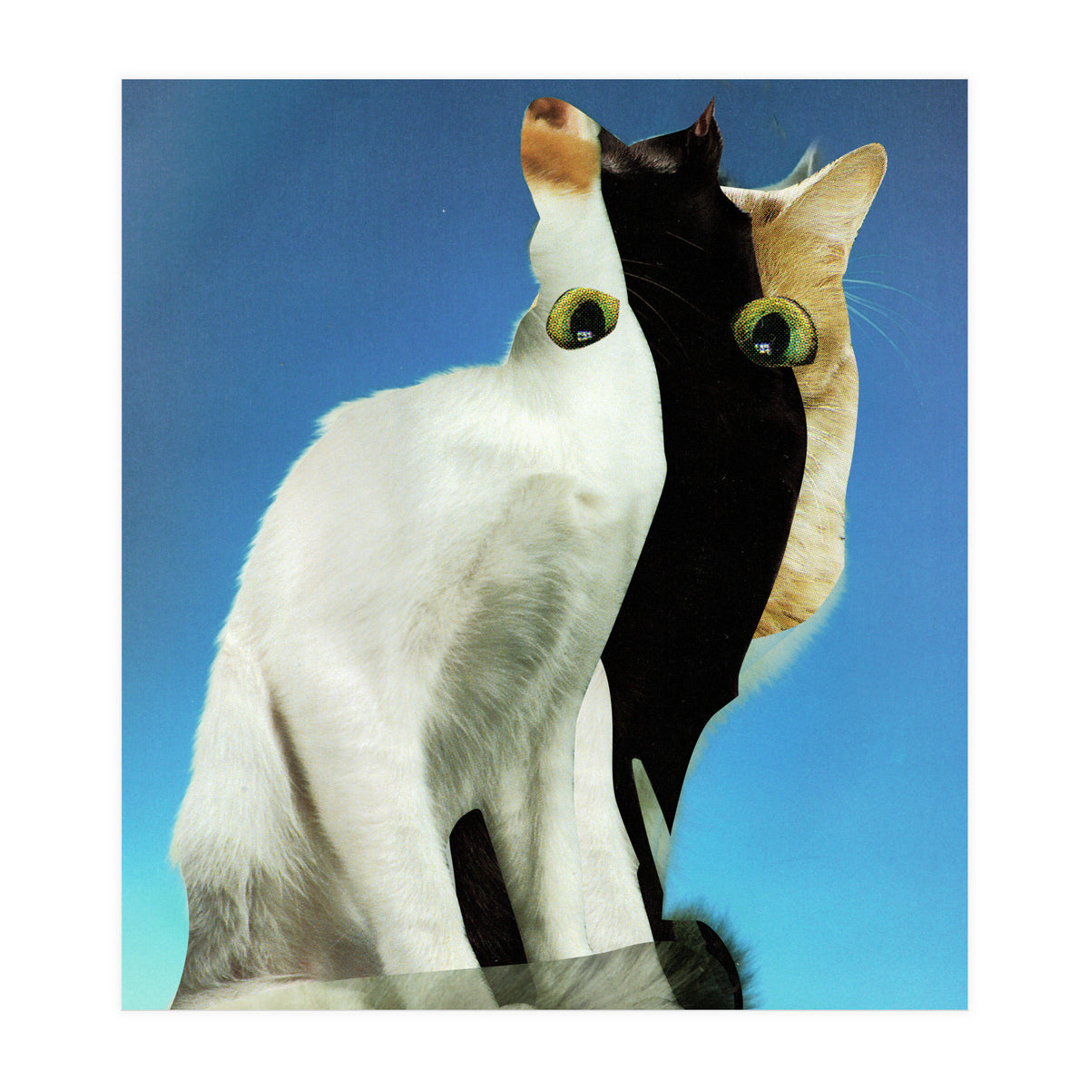 KatzenJammer 13 (Print Only)