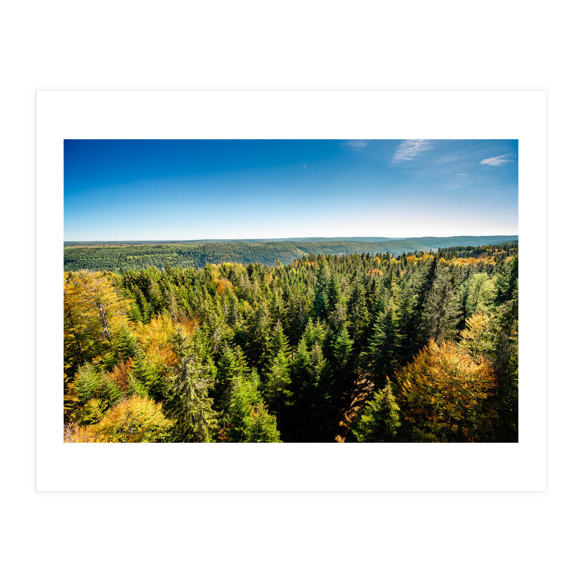 Black In Color (Print Only)