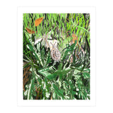 A Snail Goes (Print Only) thumbnail