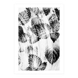 Raining Forest No6 (Print Only) thumbnail
