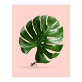 Monstera Ant (Print Only) thumbnail