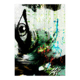 Human & Nature (Print Only) thumbnail