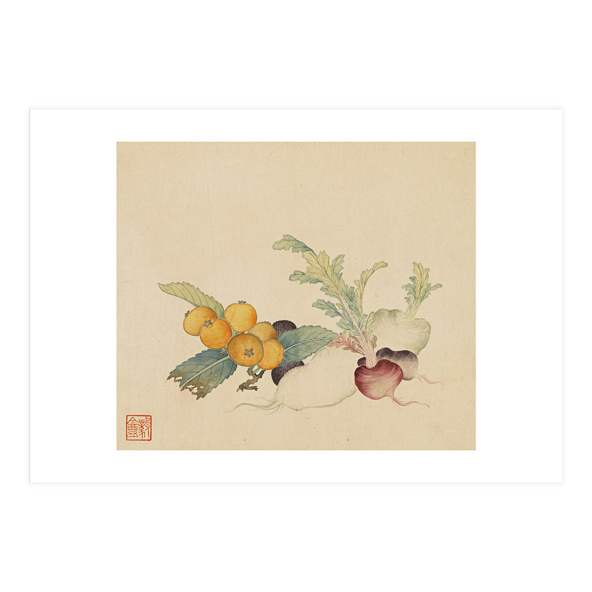 Wang Chengpi~flowers And Vegetables, Vegetables, Fruits, Loquat, White Radish, Carrot, Radish (Print Only)