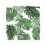 Monstera Deliciosa (Print Only) thumbnail