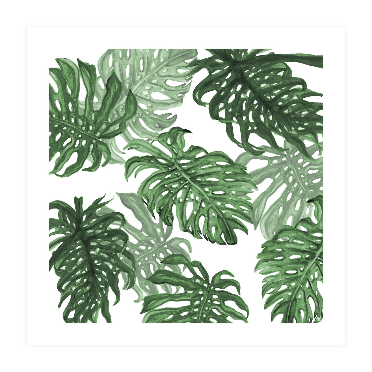 Monstera Deliciosa (Print Only)
