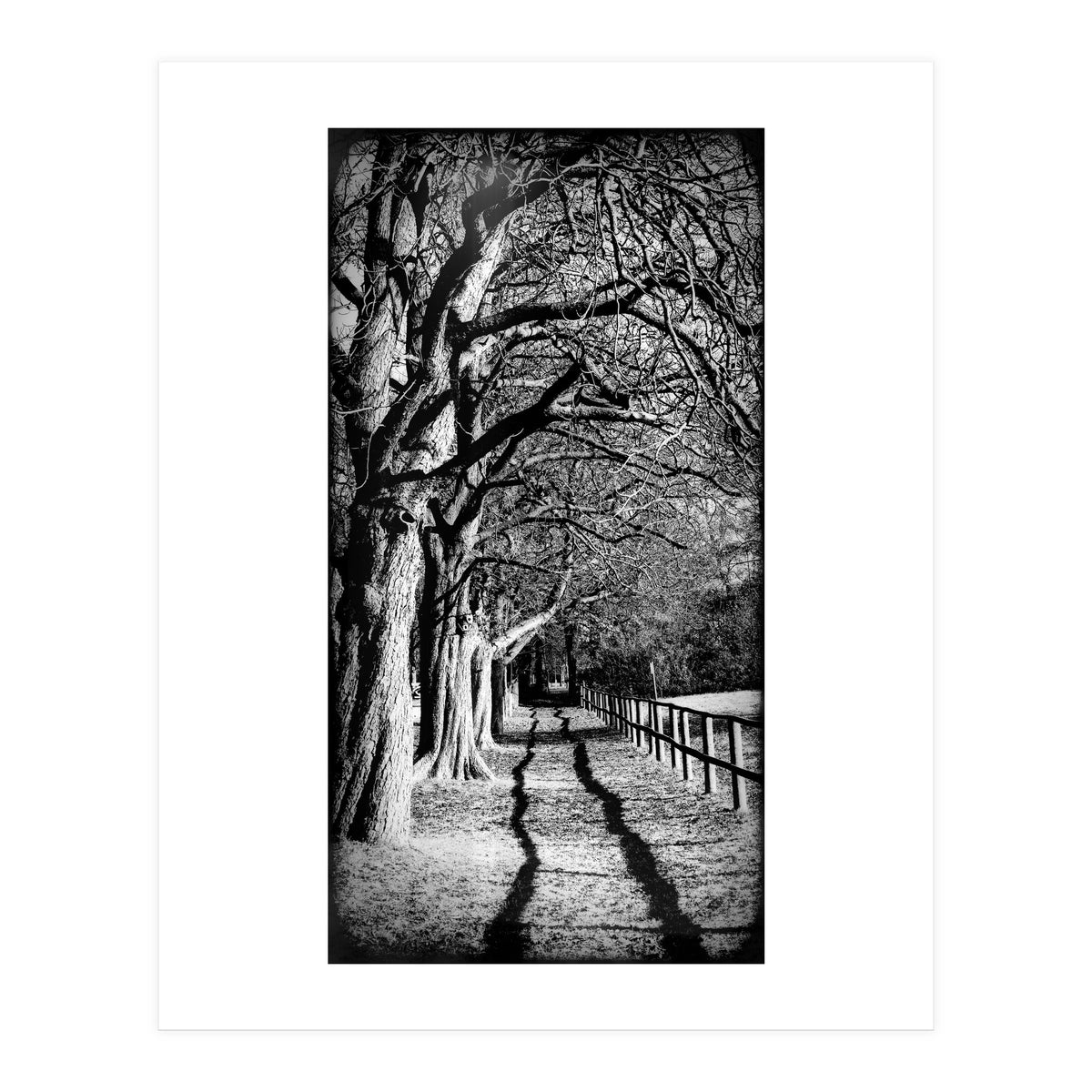 Light and shadows (Print Only)