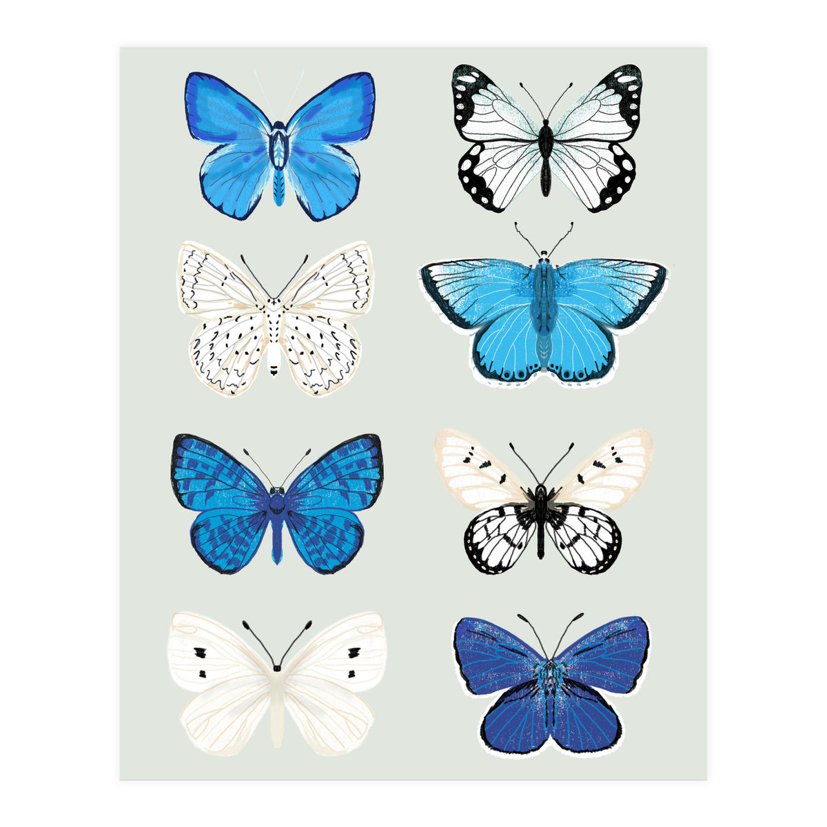 Lepidoptery Study No. 3 (Print Only)