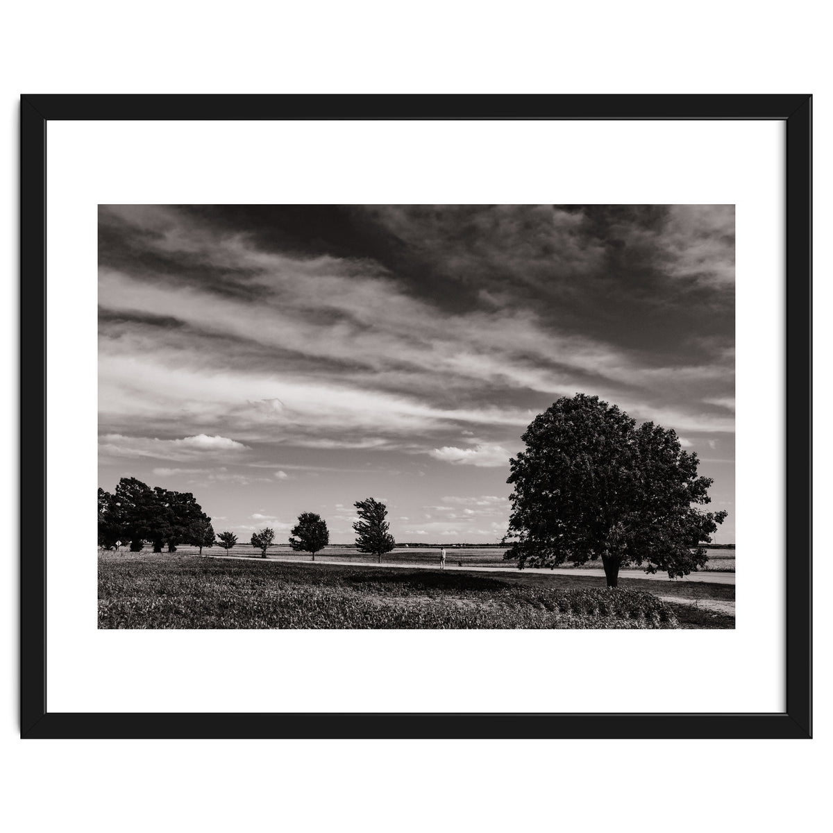 Country Road, Illinois