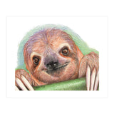 Smiling Sloth (Print Only) thumbnail