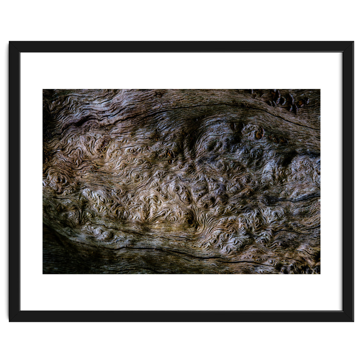 Burlwood pattern in tree