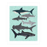 Sharks (Print Only) thumbnail