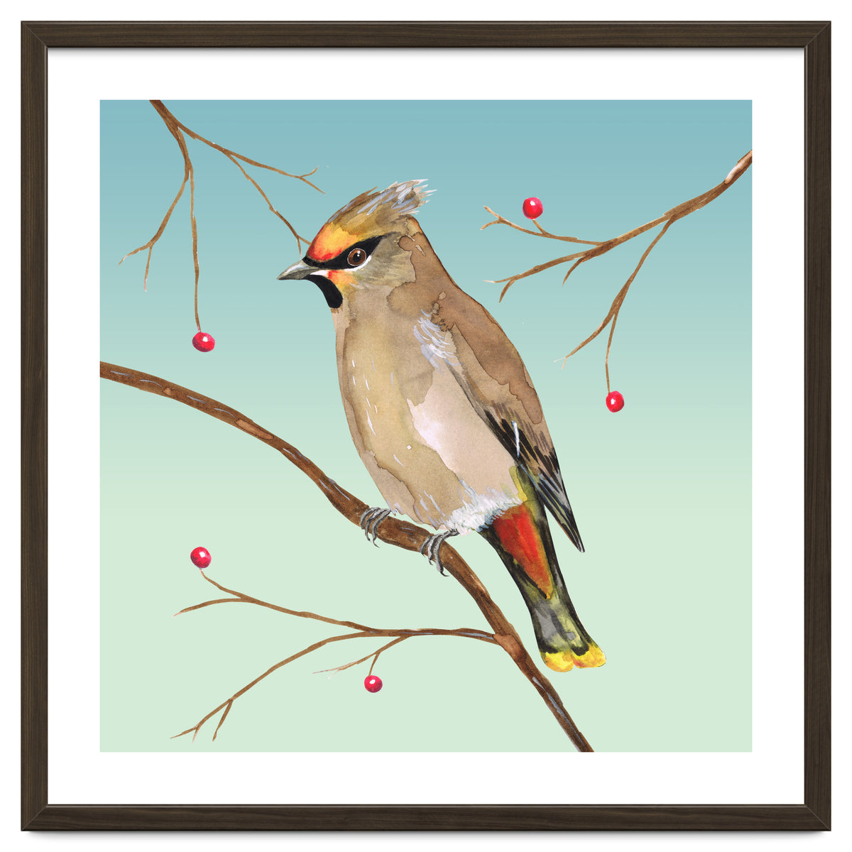 Bohemian waxwing