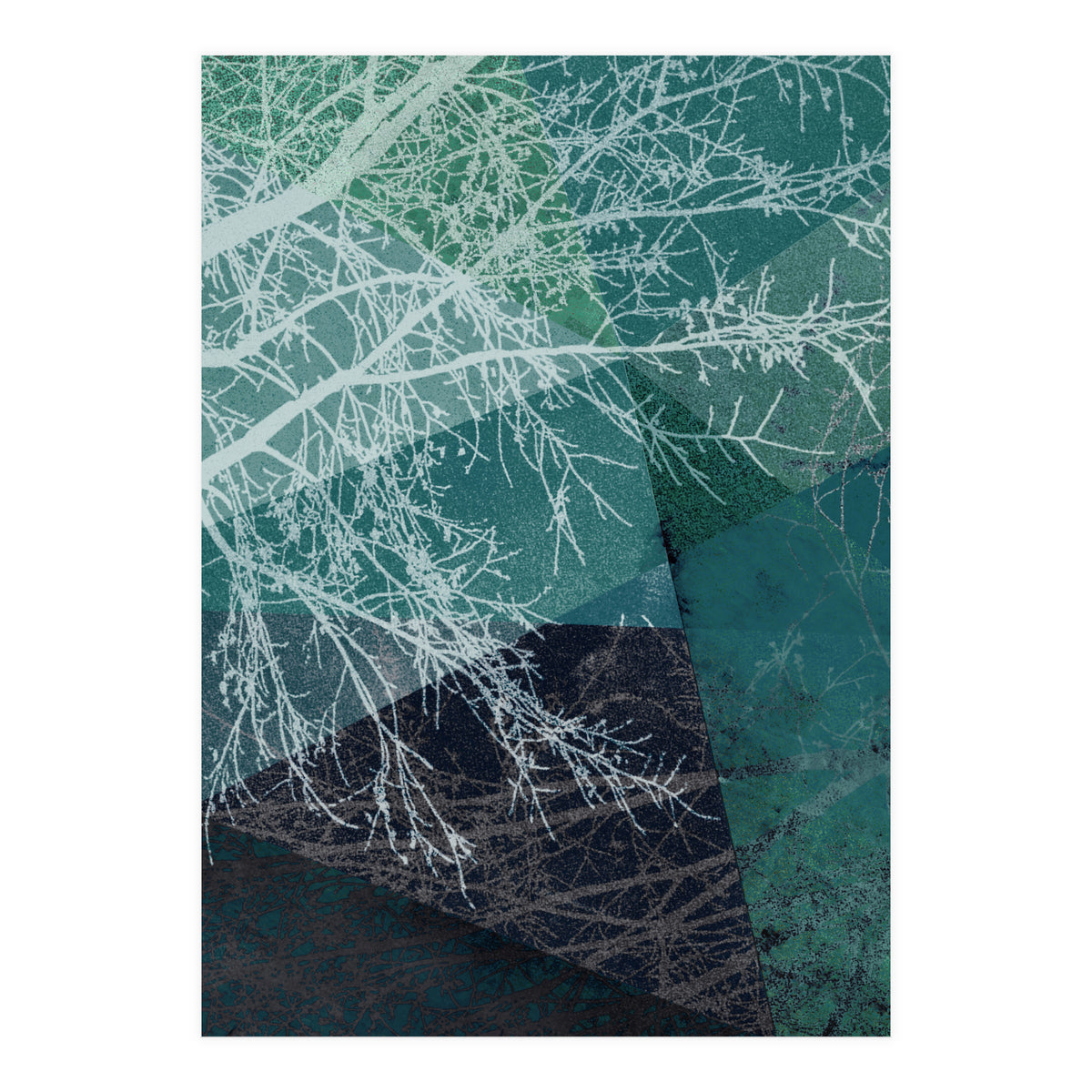 P19 E1 Trees And Triangles (Print Only)