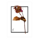 Flower 1 (Print Only) thumbnail