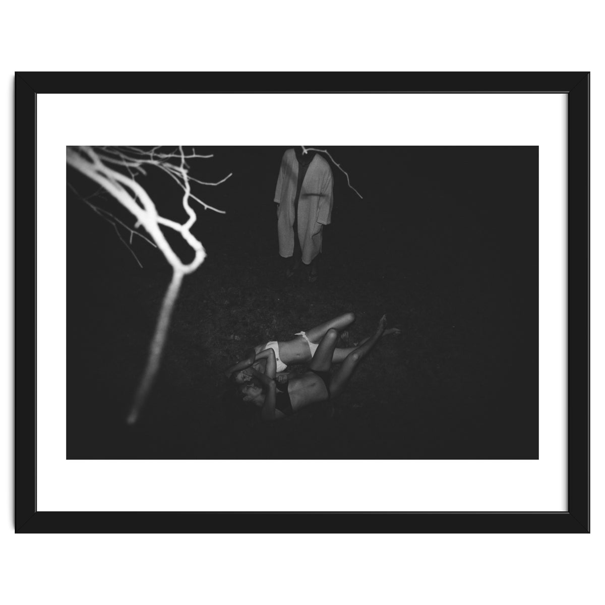 This is What it's Like to Live in a Tree House