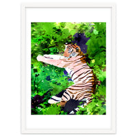 Blush Tiger