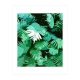 Tranquil Forest (Print Only) thumbnail