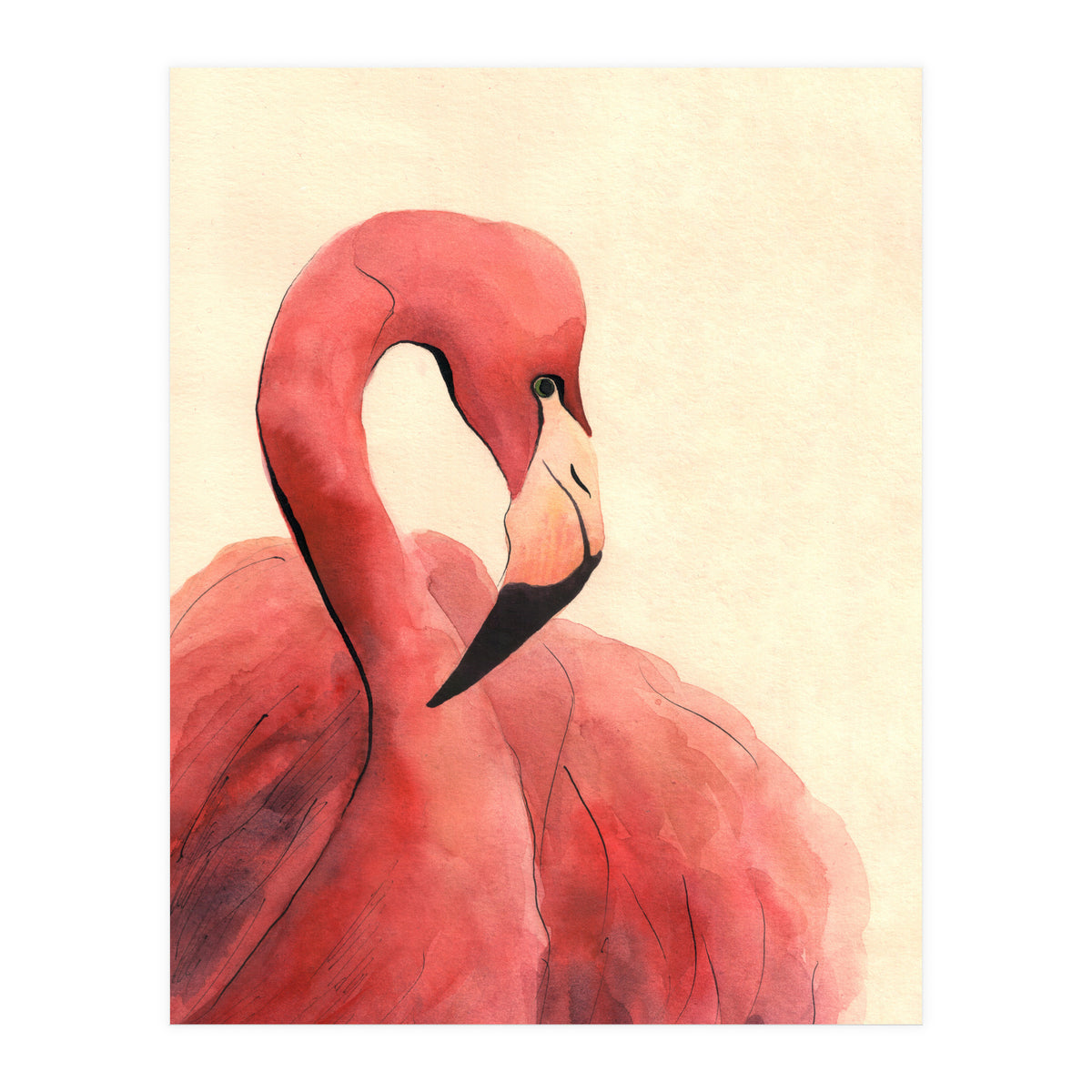 Flamingo (Print Only)