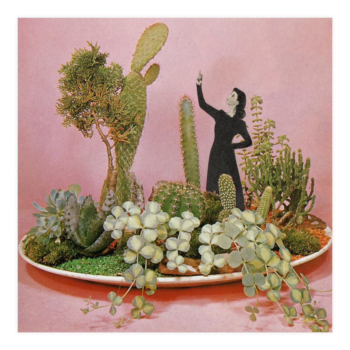 The Wonders Of Cactus Island (Print Only)