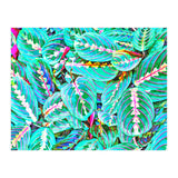 Let's find a beautiful place to get lost (Print Only) thumbnail