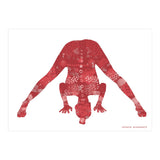 Prasarita Padottanasana in Red (Print Only) thumbnail