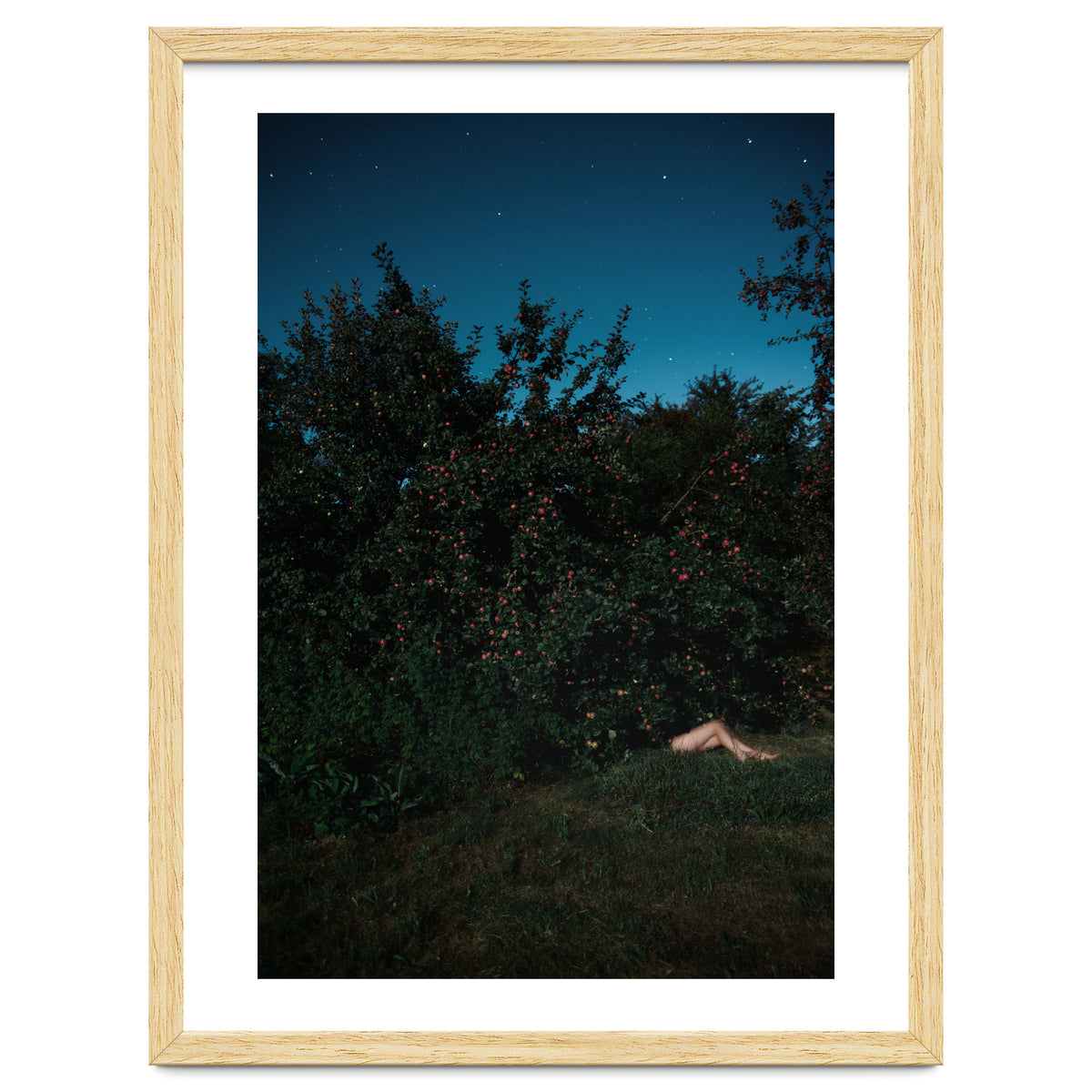 The Cider House Legs