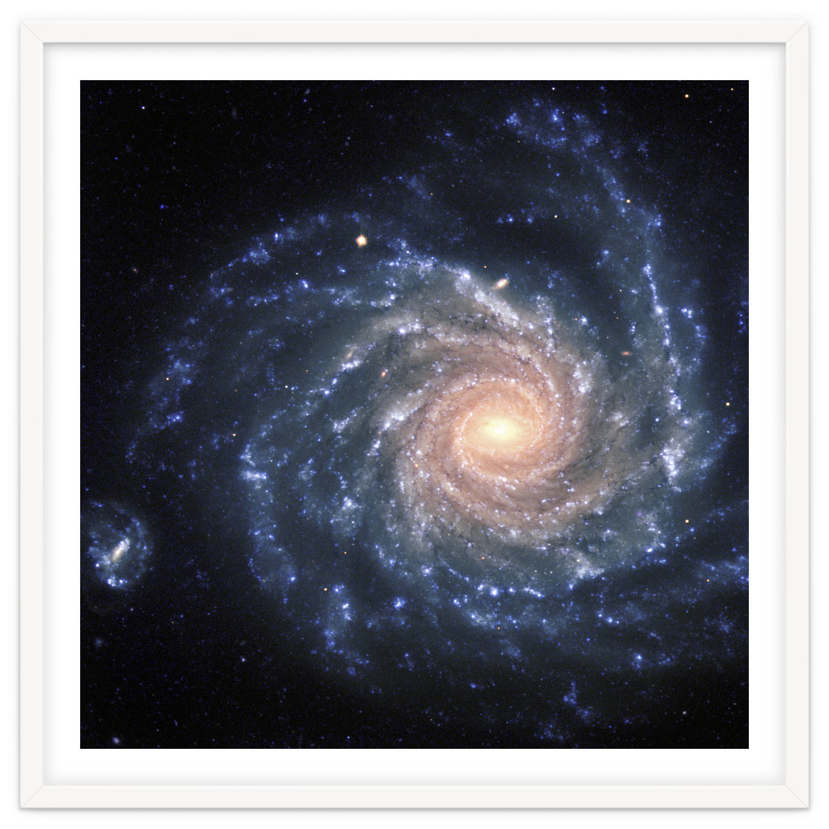 Spiral Galaxy NGC 1232