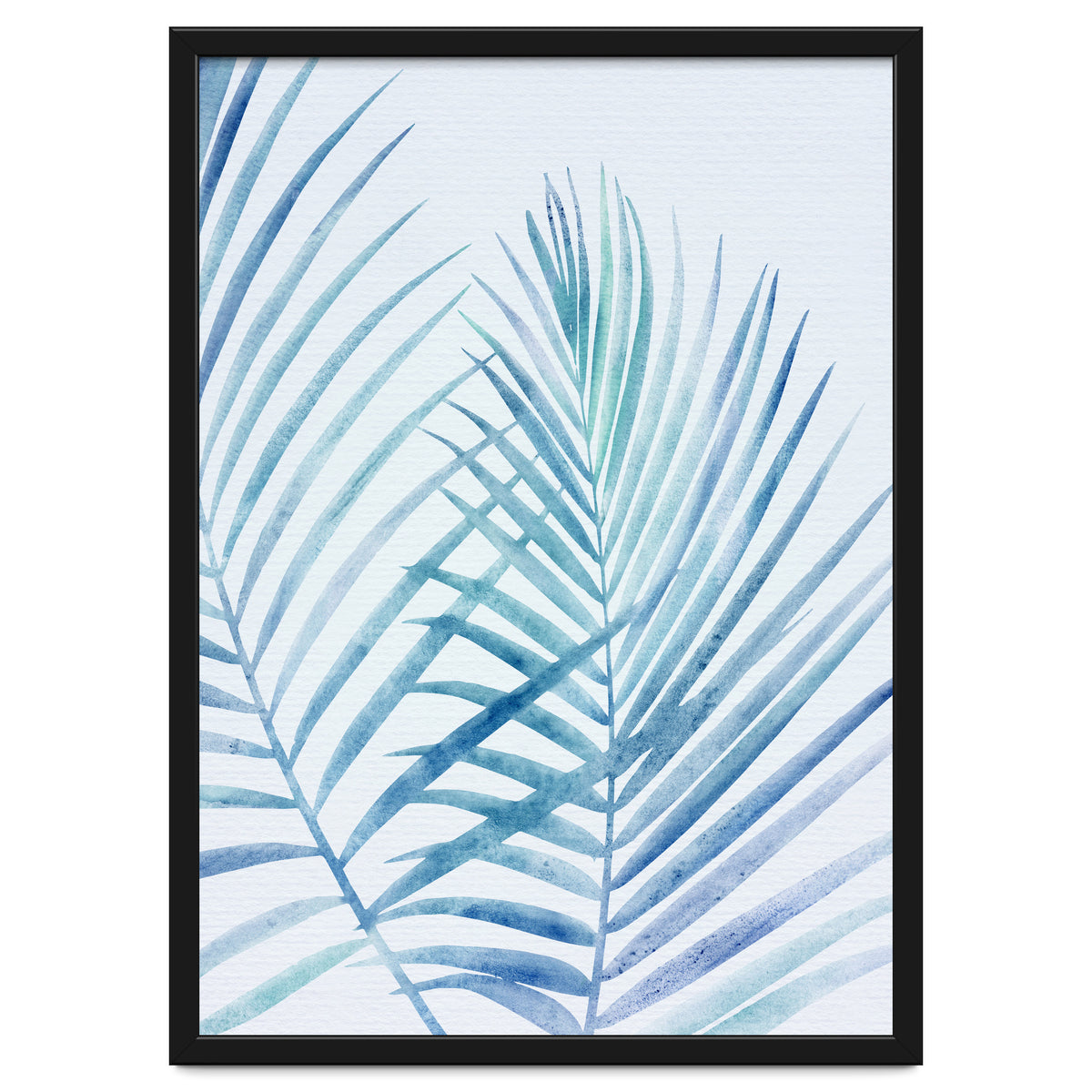 Coastal Palm Fronds