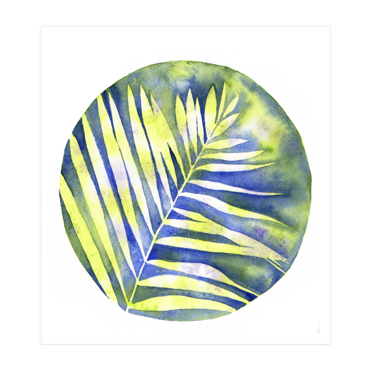 Fern Shadows Std (Print Only)