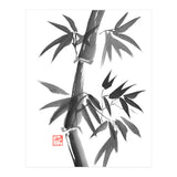 Bamboo 01 (Print Only) thumbnail