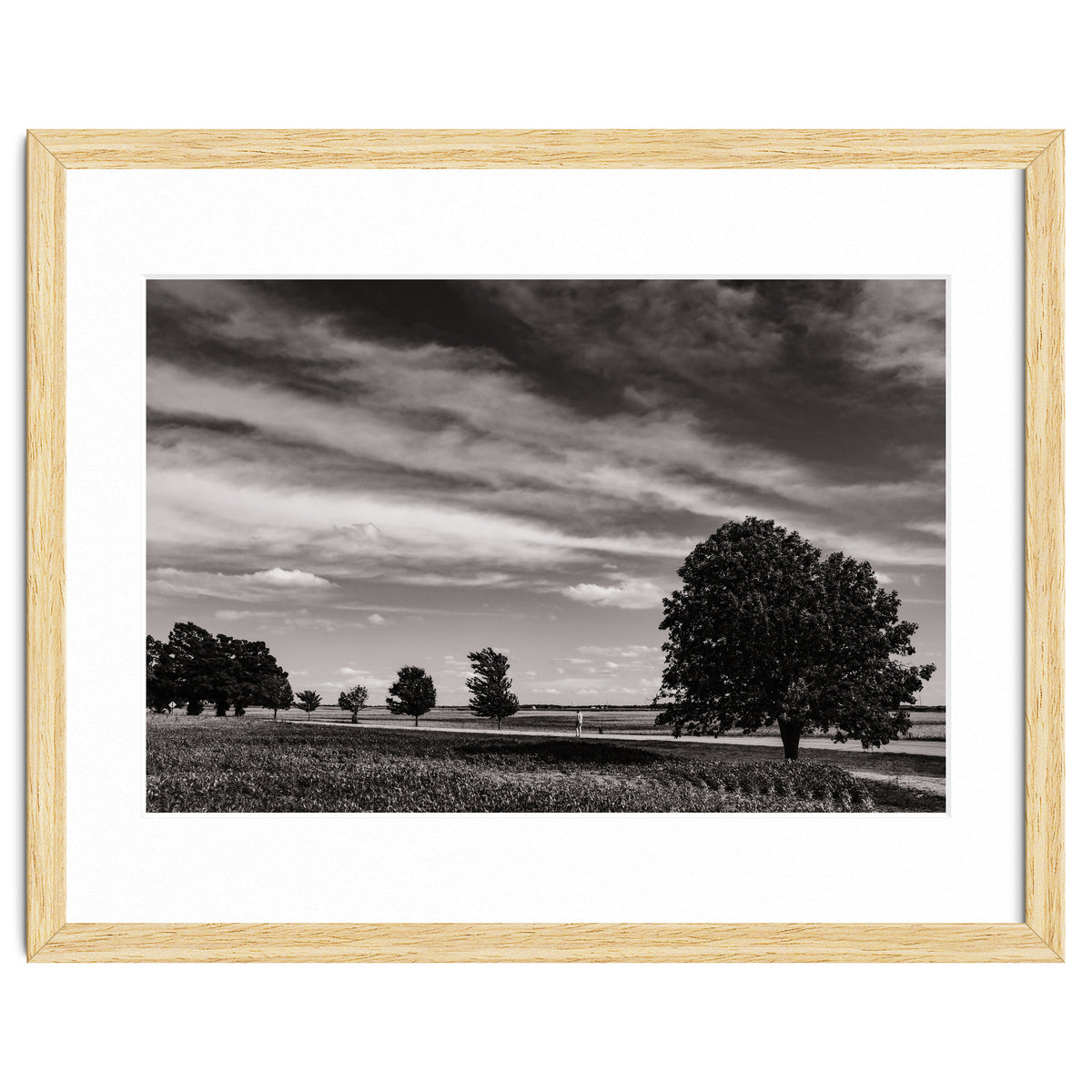 Country Road, Illinois