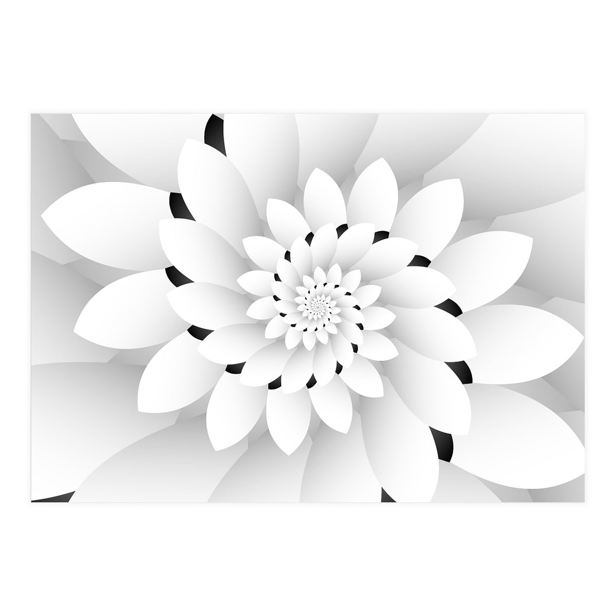 Monochrome Floral Design  (Print Only)