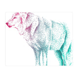 Wolf  (Print Only) thumbnail